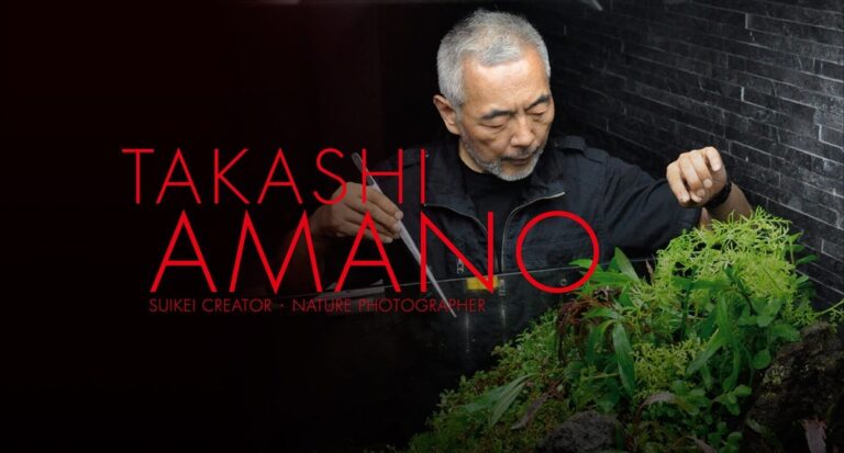 Takashi Amano : Le pionnier de l'aquascaping