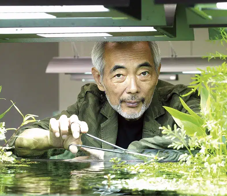 L'importance de la maintenance de l'aquarium