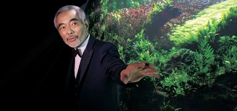 Ces éléments peuvent être combinés pour créer un paysage aquatique unique et attrayant.
