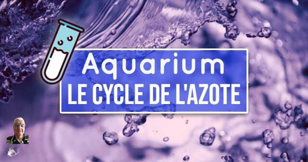 Le Cycle de l'Azote dans l'Aquarium : Comprendre et Gérer les Composés Azotés
