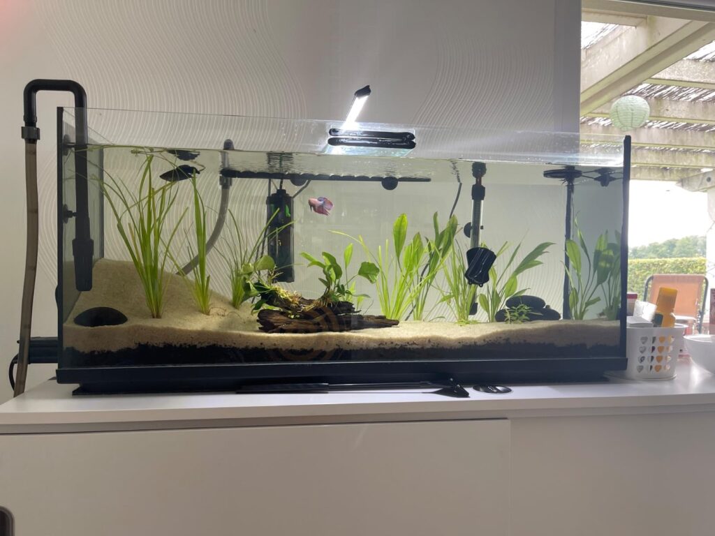 filtre installé sur un bac de 240 L