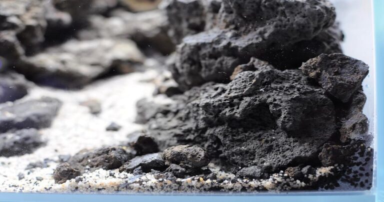 Sol pour aquarium : meilleurs substrats et sables 2025
