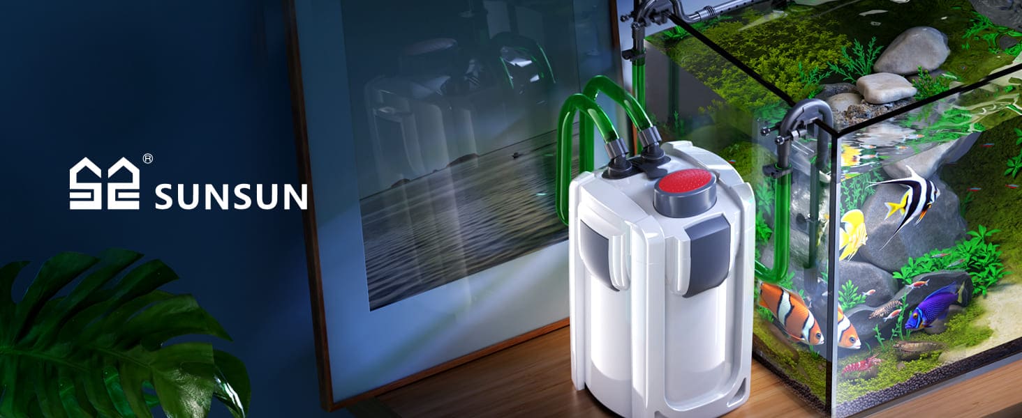 Filtre externe d’aquarium SunSun HW-704B en situation — masses filtrantes et circuit d’eau