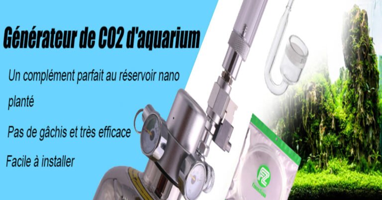 Pompe d’aquarium : 7 erreurs qui abîment votre bac