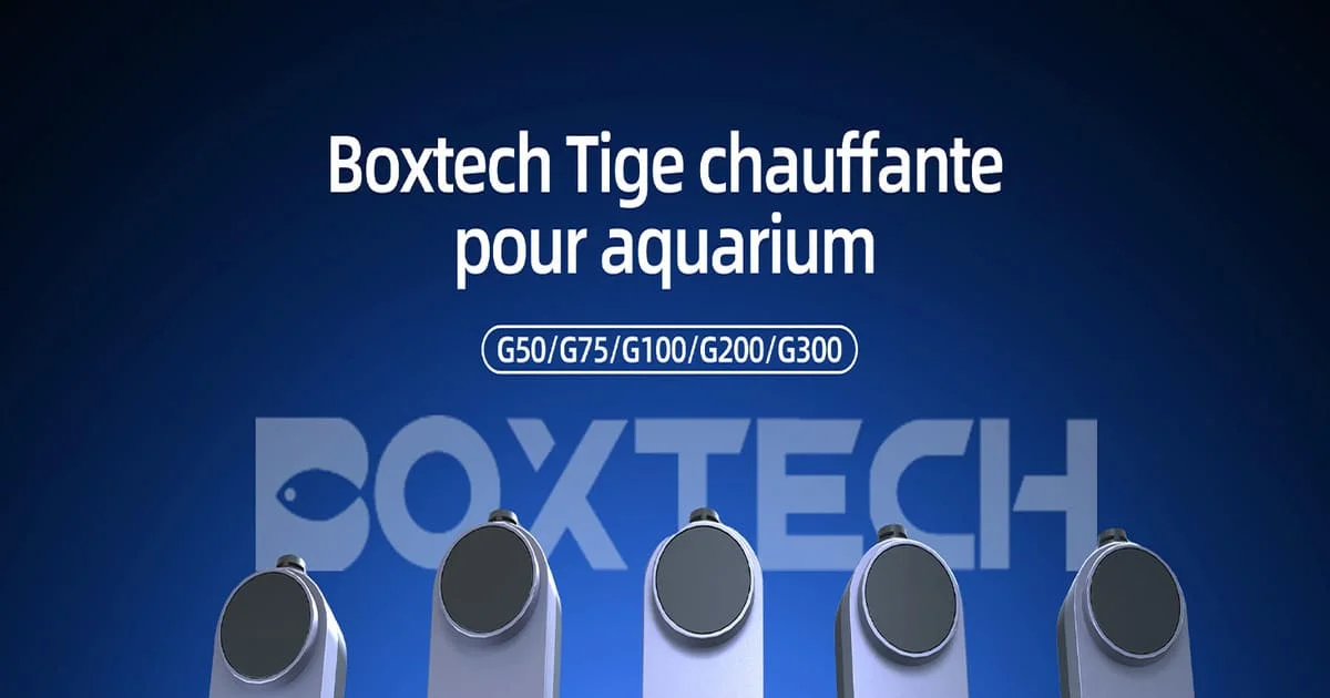 Chauffage aquarium Boxtech : lequel choisir de 50 à 300 W ?