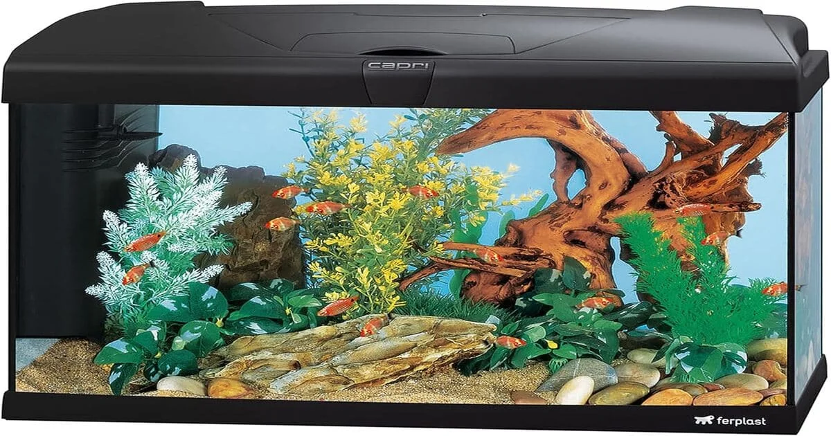 Aquarium Hydor 60L complet : mon choix pour débuter